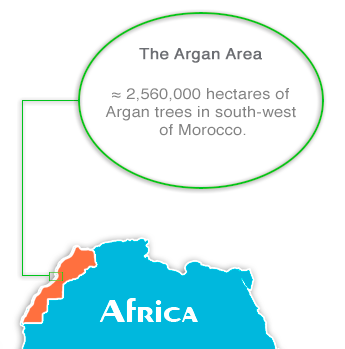 Buy Argan Oil